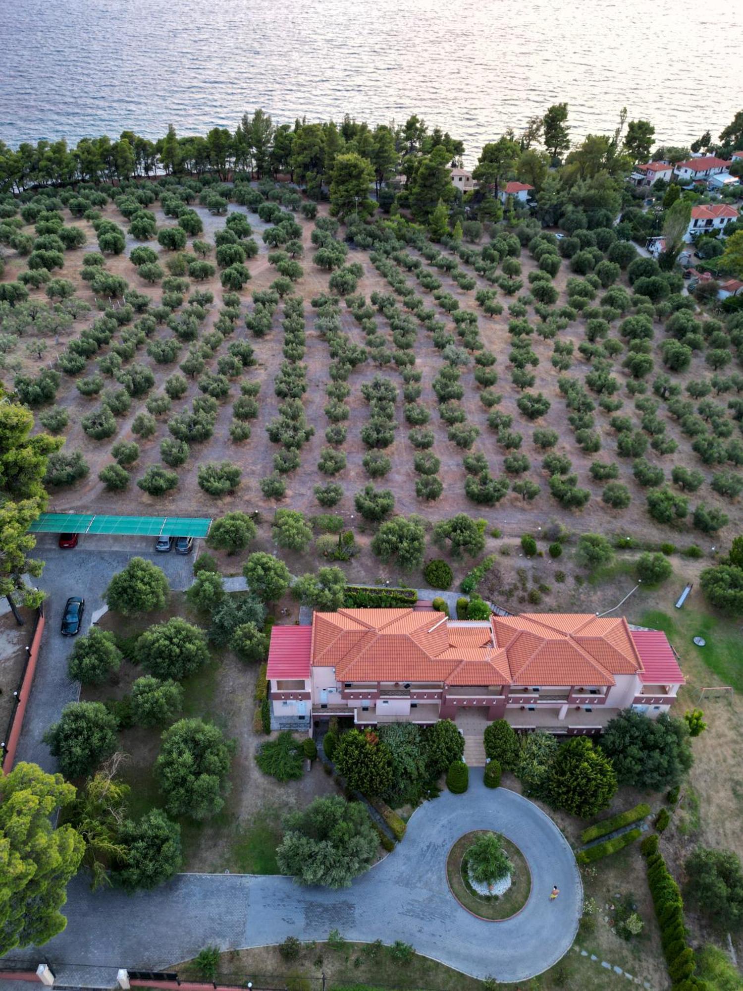 Agrili Apartments & Rooms Elia Nikitis Exterior photo